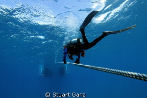 Dive is done, heading back to the boat. by Stuart Ganz 